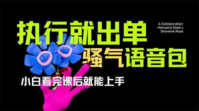 （14170期）爆火全网的开车导航骚气语音包,只要执行就出单，小白看完课程就能实操...