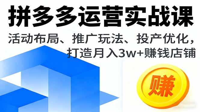 （16135期）拼多多运营实战课，活动布局、推广玩法、投产优化，打造月入3w+赚钱店铺