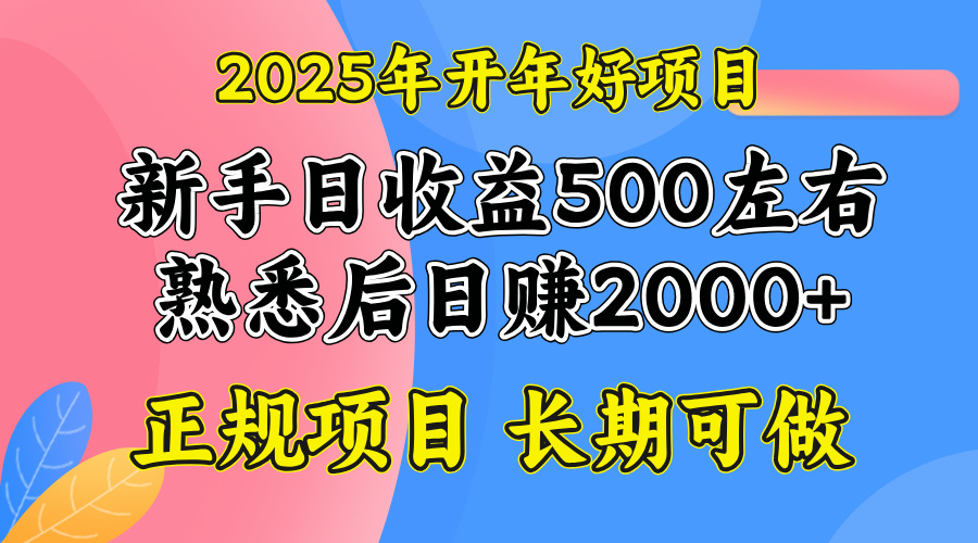 (14076期)2025开年好项目,单号日收益2000左右