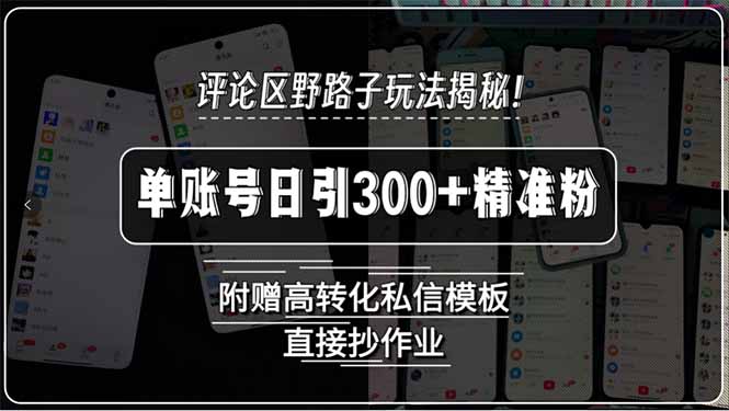 （15466期）评论区野路子玩法揭秘！单账号日引300+精准粉，附赠高转化私信模板，直...