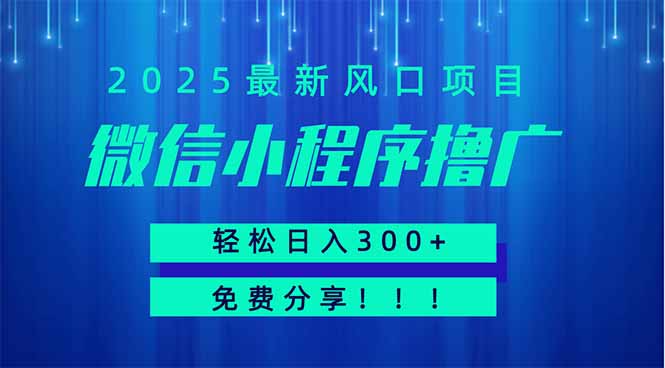 （14375期）微信小程序撸广，最新风口项目，日入300+ 免费分享 可批量操作 小白可...