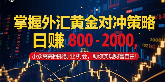 （15198期）掌握外汇黄金对冲策略，日赚 800 - 2000，小众高回报创业机会，助你实...