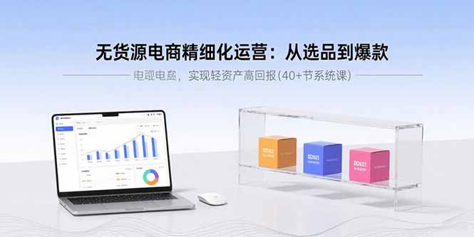 （15896期）无货源电商精细化运营：从选品到爆款，实现轻资产高回报(40+节系统课)